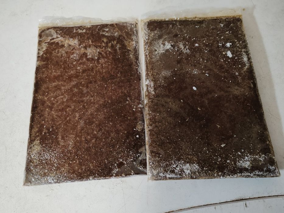 Larve rosii cu artemia 500 gr