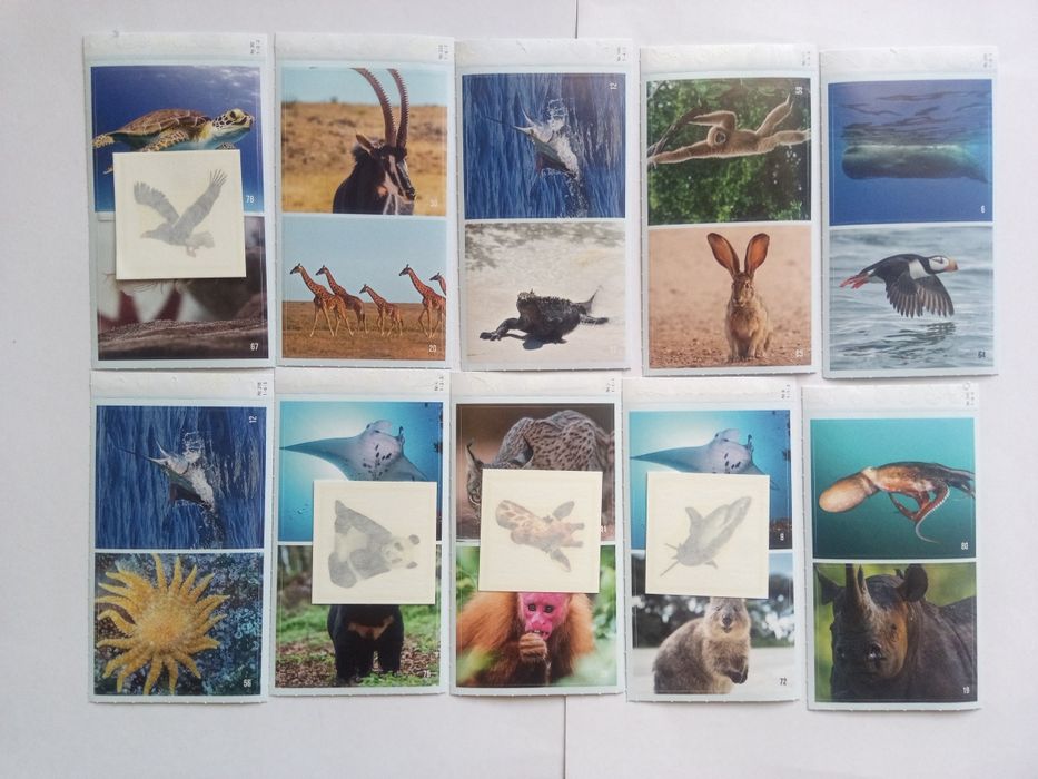 Билла стикери 64 броя + 11 татуировки