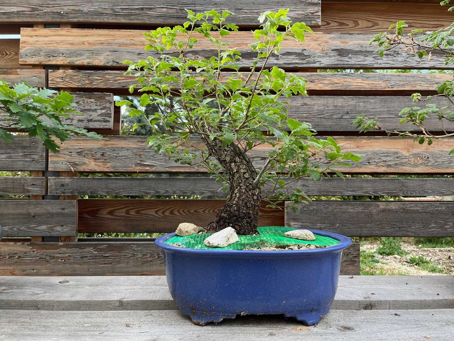 Вулканична Пемза и Лава