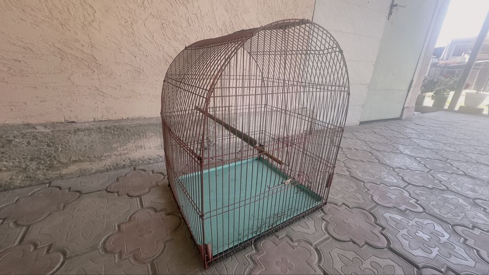 Клетка для птиц большая!