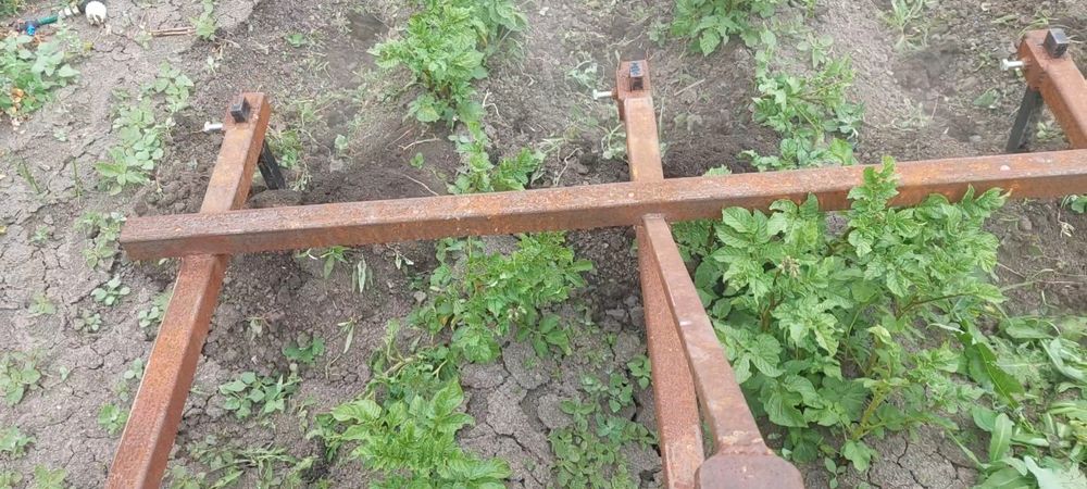 Masina de plantat cartofi cu fertilizare si rariță.preț negociabil