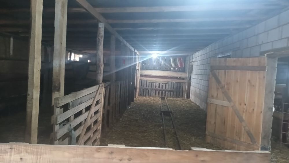 Продам хозяйство для ЛПХ