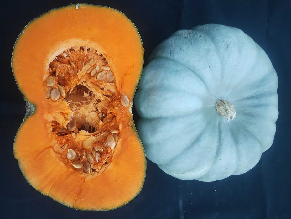 Тикви за консумация