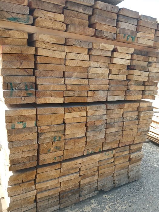 Лиственница листвяк