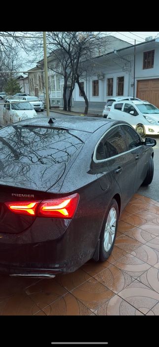 Malibu 2 primer 2022