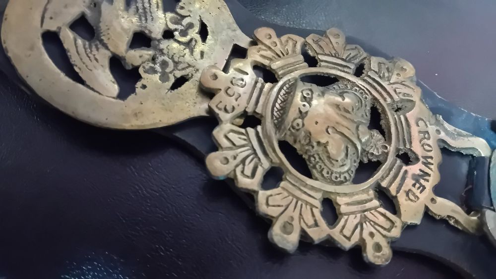 Конски  палдъм.    Глава сърандак