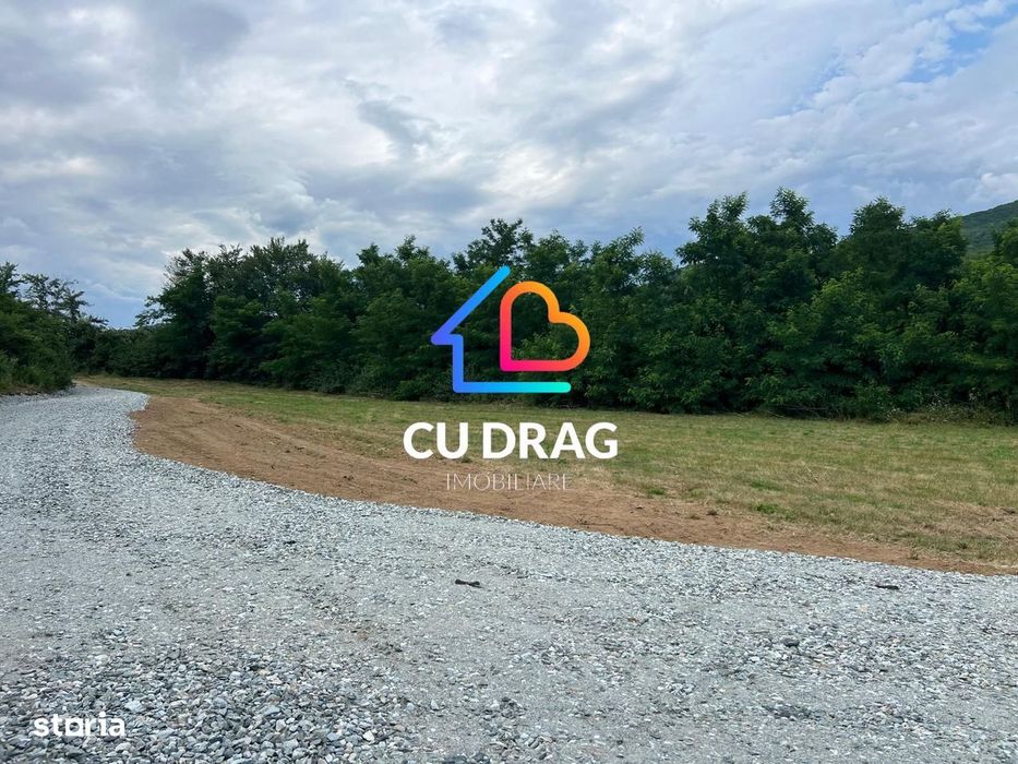Teren de investitie Talmaciu