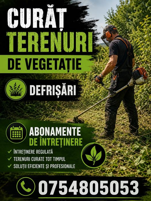 Servici de intretinere gazon si defrisari vegetatie