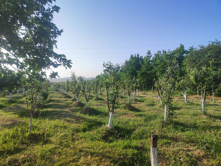 Uy sotiladi yaxshi joy