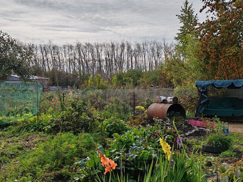 Продам дачу в черте города