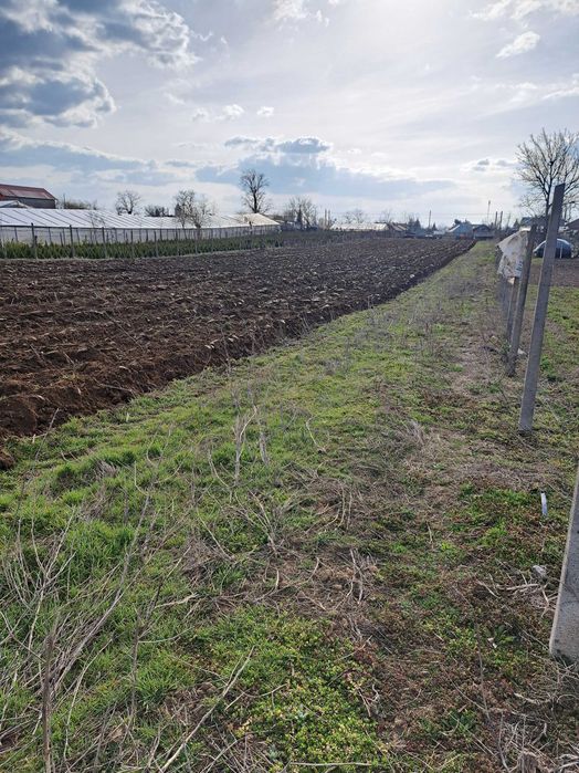 Teren intravilan cu casă