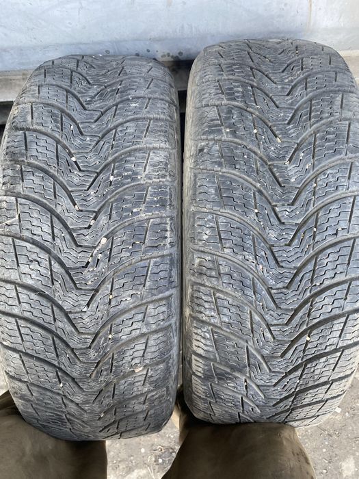 Примиори  на 15 195/55