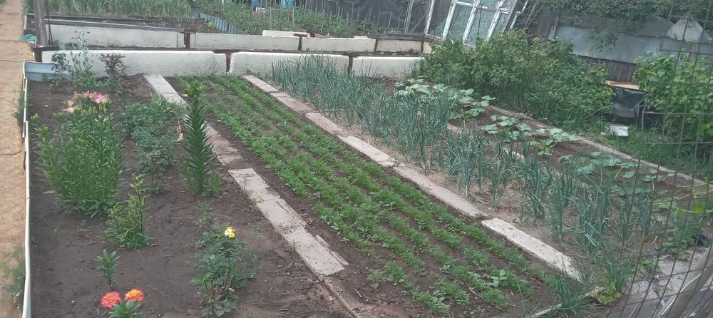 Продам дачу на машиностроителей