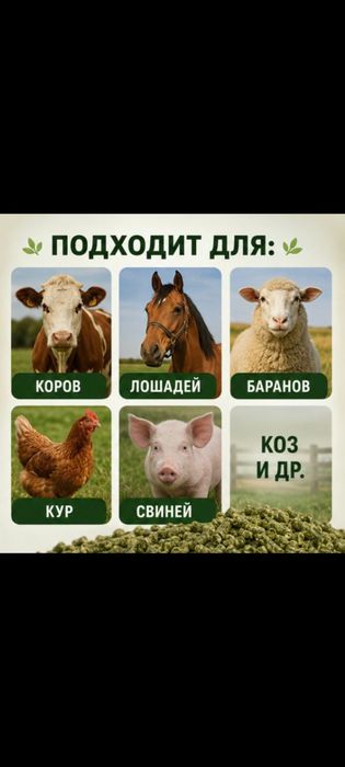 Гранулы для скота