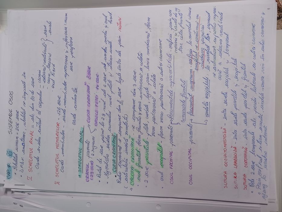 Vând notițe  admitere Medicină din Barrons +Netter pdf la 50 de lei .