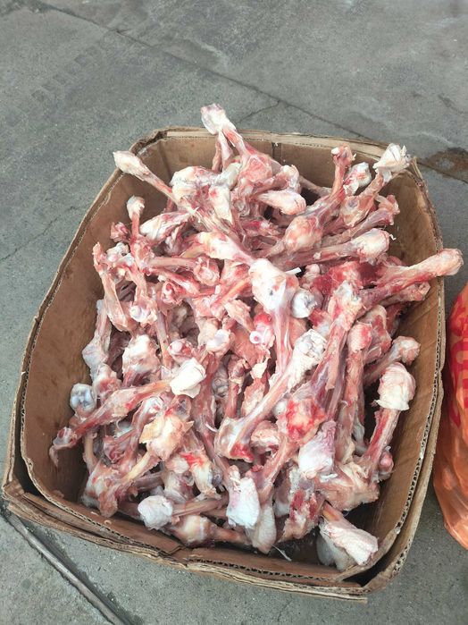 Куринный фарш для собак