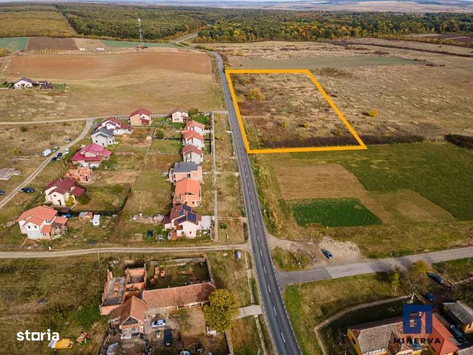 Teren pentru parcelare, 19000 mp, Pischia, comision 0