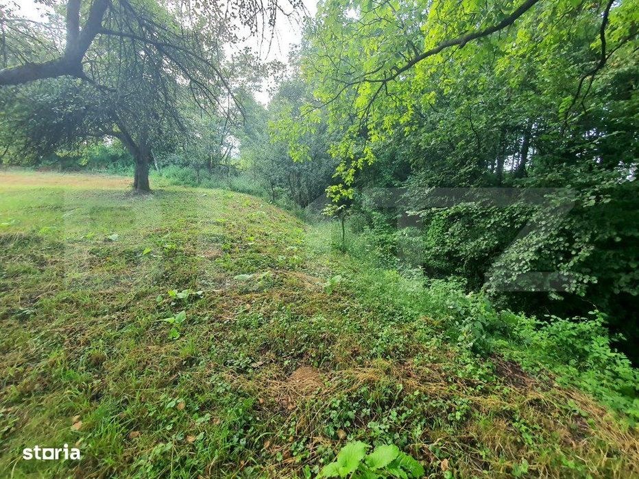Teren intravilan, 31 ari, Ilva Mica, zona montana