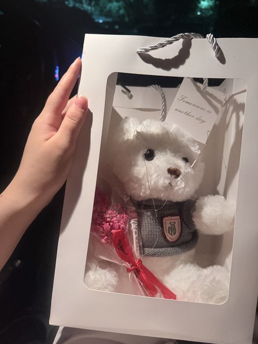 Мишка с гирляндой белый  6000