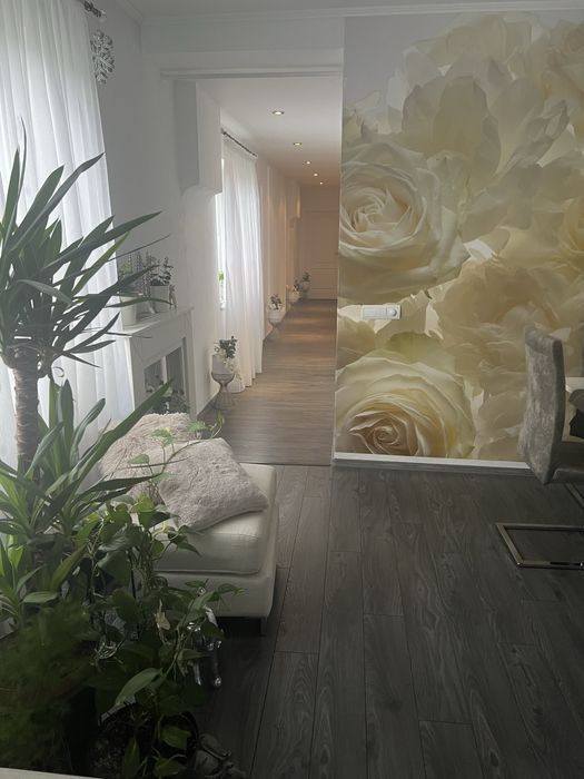 Casa de vanzare in centrul orasului Sebes