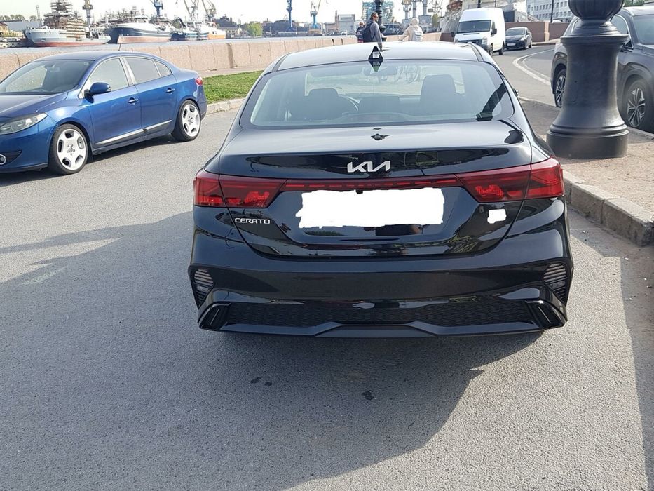 Крыло правое, кия церато