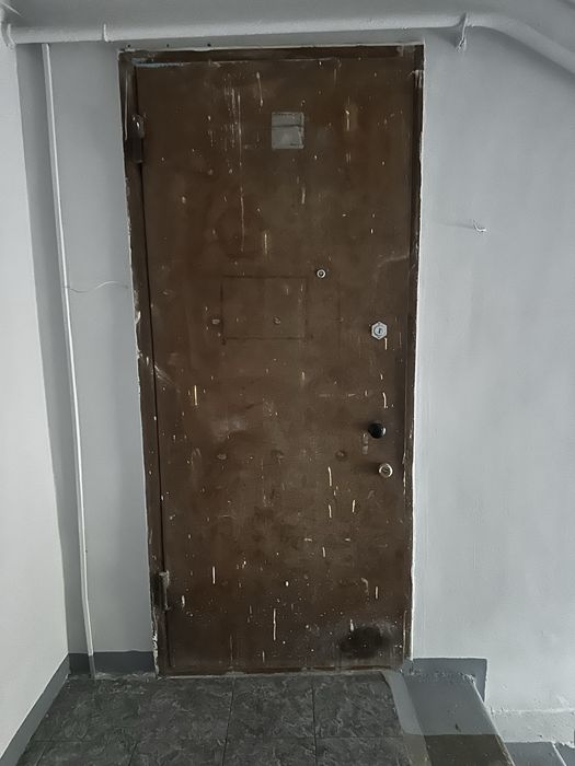 Железная дверь 220х90