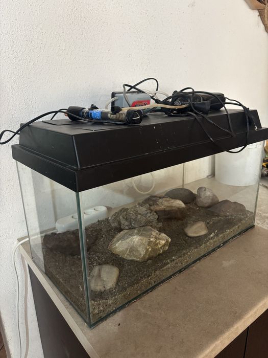 acvariu complet cu filtru, incalzitor, lampa