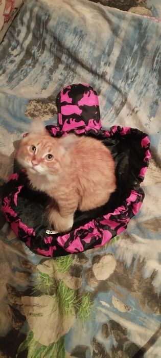 Дорожная косметичка