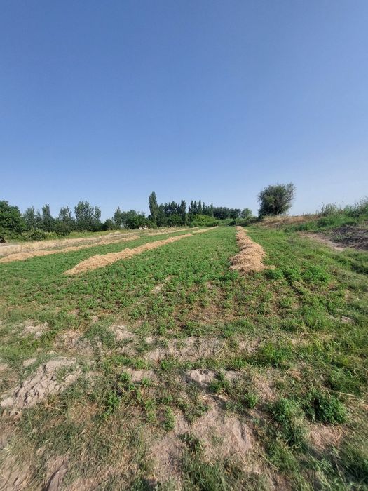 Продаётся участок. В Бекабадском районе Мавлянов