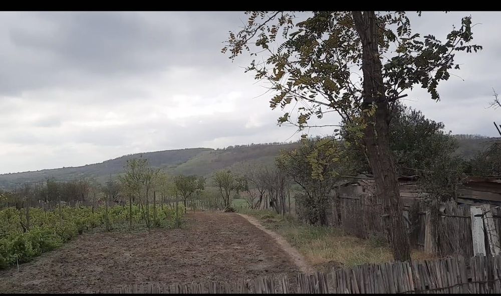 Vand loc de casa sat ijdileni