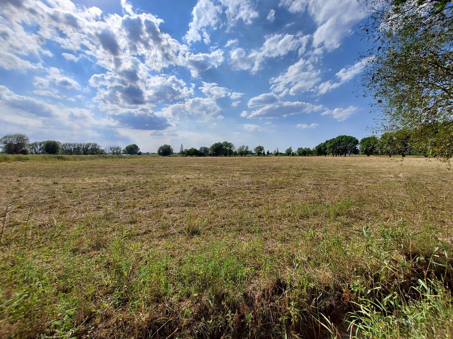 Сдается в аренду 2.2 га участок