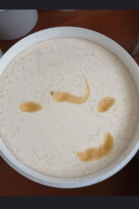 Есть свежий мед , подсолнух гречка, разнотравие.(Праполис )