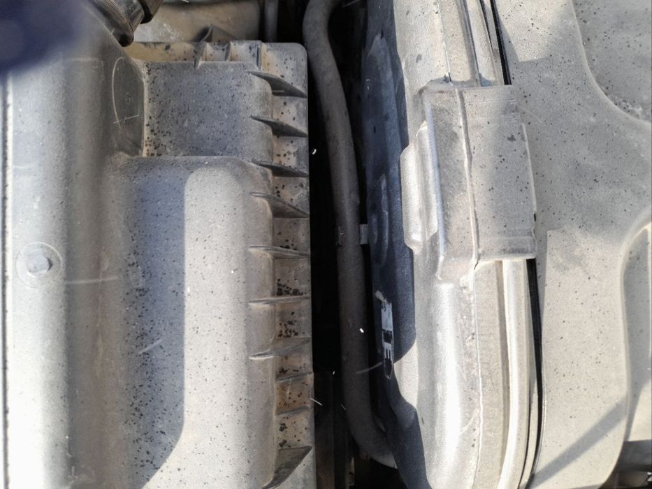 Продаётся некися 2