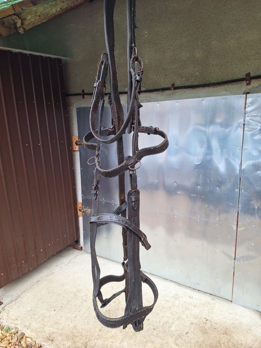 Vand caruta si ham cai