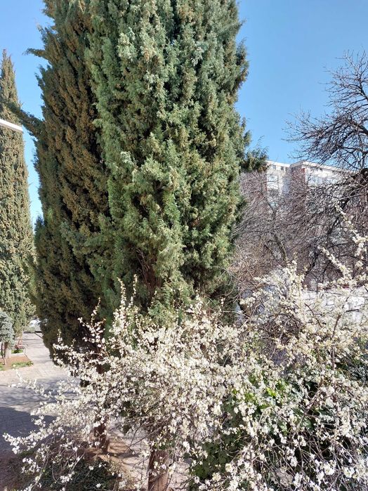 Продава тухлен апартамент с две спални всекидневна и бокс в центъра