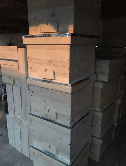 Stupi 10 rame 12 rame cat magazie