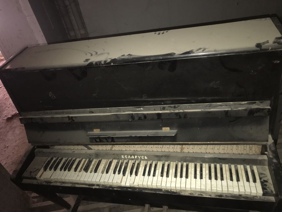 Продаётся пионина