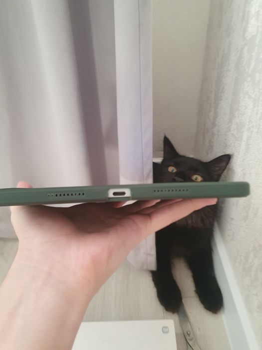 Xiaomi pad 7 | 144грц