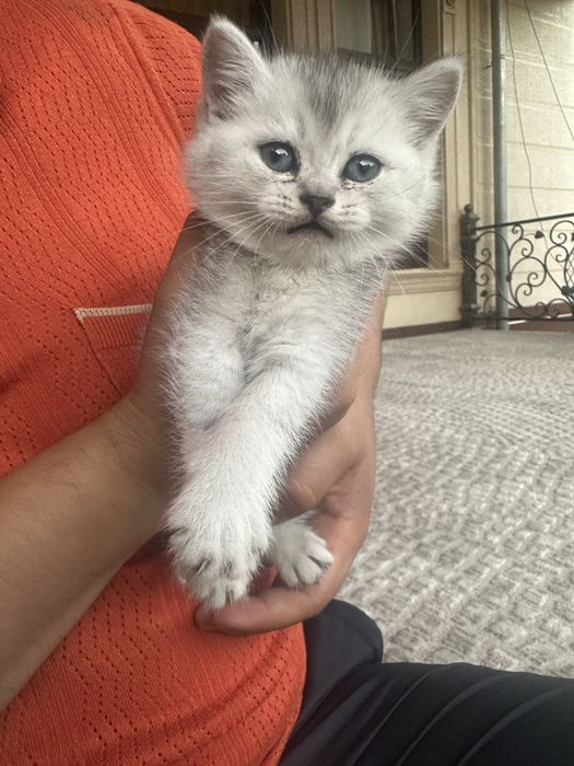 Oilaviy nudizm erotikasi