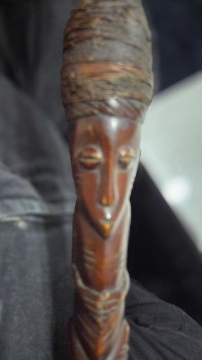 Baston deosebit african