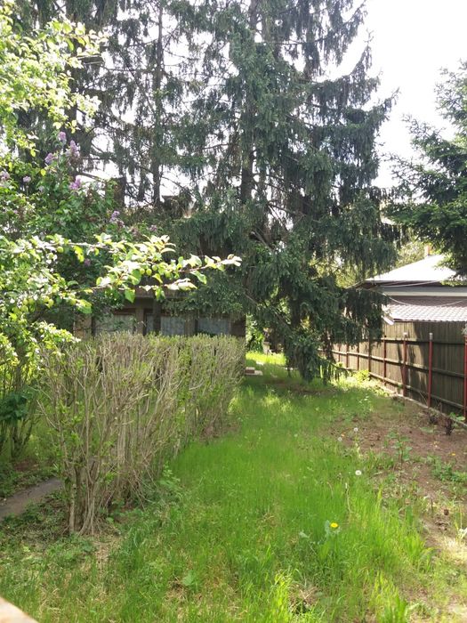 Casă și teren 1324m, Bolintin Deal,pe șoseaua principală  lângă pădure