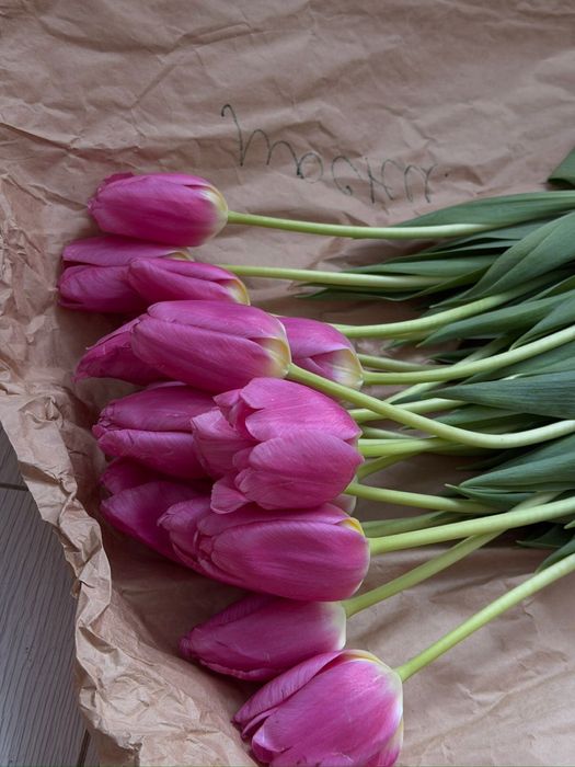 Тюльпаны на 8 марта | Предзаказ