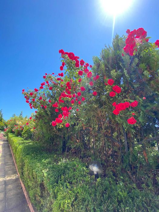 Продава се Едностаен апартамент в Свети Влас - 39 кв.м за 1180 €/кв.м - Снимка #16