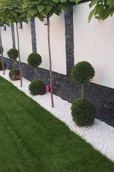 Gazon Natural pentru Spații Verzi Perfect Întreținute