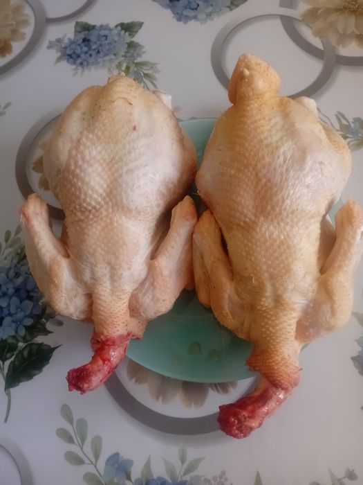 Продам мясо бройлера домашнее