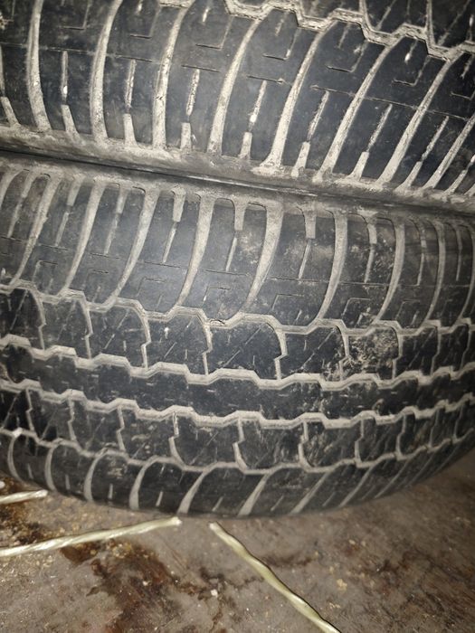 Продам резину Dunlop