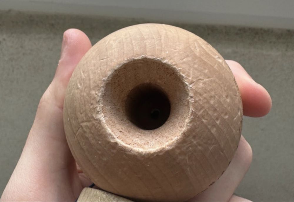 Tama erracticsquirrel