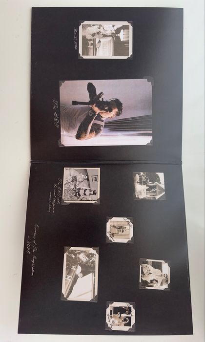 Vand Vinyl Yeat ADL Lenticular