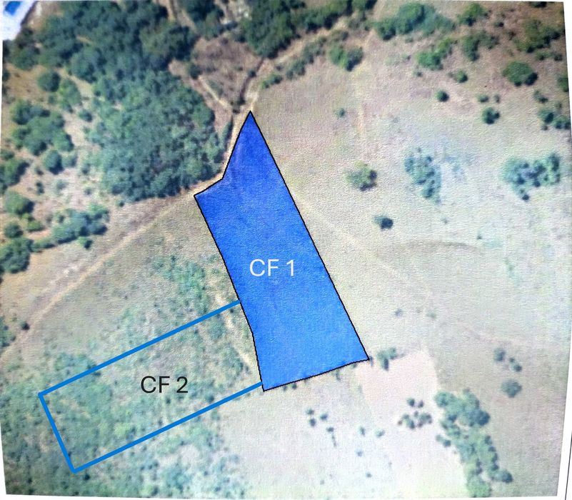 Teren 5330 m² Baile Herculane din 2 CF-uri sau achizitie separata