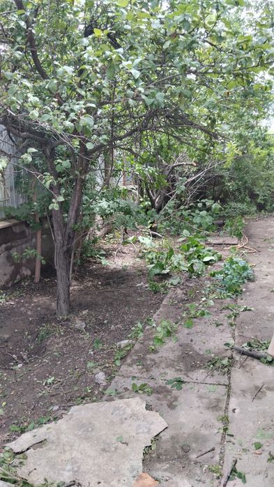 Покос травы,стрижка газона.